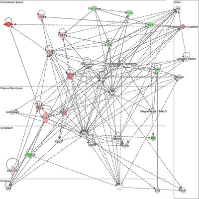 Proteomic Profiling of Plasma Biomarkers Associated With Return to Sport Following Concussion: Findings From the NCAA and Department of Defense CARE Consortium